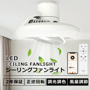 yt]؂ւzV[Ot@Cg V[Ot@ ^ LED Cgt Ɩ V[OCg 6 8 F 铔 @\ ^C}[ T[L[^[  C