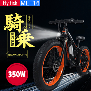 ファットタイヤ 自転車 電動自転車の人気商品 通販 価格比較 価格 Com