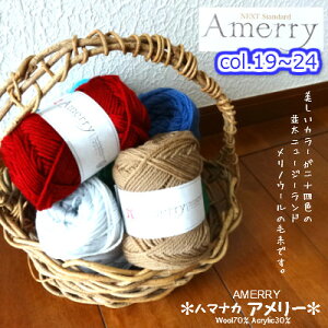 【クーポンでお得】ハマナカ 並太 毛糸 アメリ? 色番号no.19〜no.24 並太 メリノウール70% アクリル30% 使用した あみやすい 毛糸 手編み かぎ針 あみにおすすめ