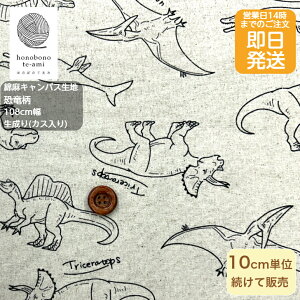 yN[|łzy14܂őzk Ȗ LoX  (JX)n `̋񂾂Ȑn Rbgl z n k@k 8020 