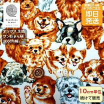 楽天市場】白犬柄生地の通販