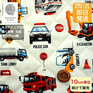 yN[|łzy14܂őzk ԕ Lg F (JX) 3.4cmԊu Sj LeBO ȃLeBOwɍœKobOɂߑ\[