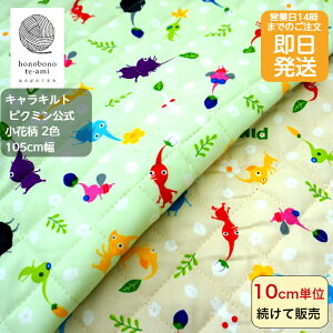 yN[|łzy14܂őz sN~  LN^[ Lg LeBO z  t[ x[W/~gnF n sN~ς LbY  w k L