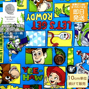 yN[|łzy14܂őz2026x fBYj[ gCXg[[  LN^[ Lg z EbfB oYCgC[ n toy story ԂW LbY w disney L 