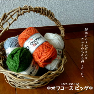 yN[|łzn}iJ@ApJю@ItR[XrbO@ApJgp ɑю ҂ JMj _j݂ɂ