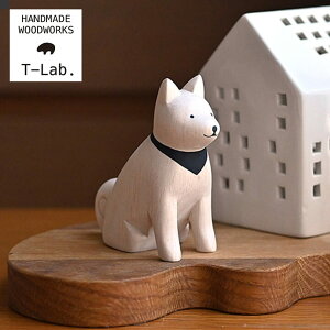 T-Lab. ۂۂꓮ/AL^Ck ChlVA ؐ  nhCh H|i i`  G RpNg eB[{ g[  TCY ȃXy[X CeA ؐ