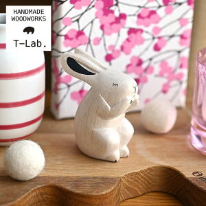 T-Lab. ۂۂꓮ/ETM ChlVA ؐ  nhCh H|i i`  G RpNg eB[{ g[  TCY ȃXy[X CeA ؐl`