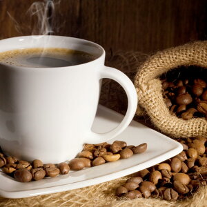 yR[q[Zbgz̎ݔׁ􁚃XyVuh500g/}Chuh500g