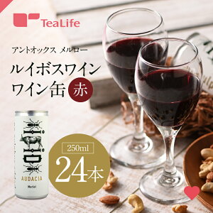 s_sgptAgIbNX [ C{XC  24{ ( ԃC i`[C I[KjbNC Lv MA AEghA Lv ^ V Mtg v