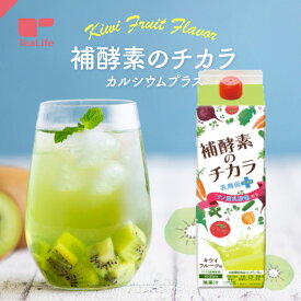 栄養機能食品 補酵素のチカラ 乳酸菌プラス 1000mL ( ビタミンB6 キウイフルーツ味 酵素ドリンク 補酵素 酵素 ナノ型乳酸菌 ヒアルロン酸 希釈 アレンジ 炭酸 ヨーグルト フルーツソース ティーライフ )