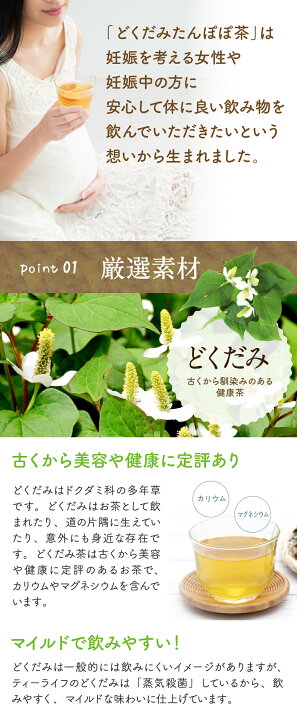 国産 どくだみ茶 栄養たっぷりの健康茶 オーガライフ 健康菜茶 自然素材へのこだわりオーガライフ けんこう畑ドクダミ茶 100g 15袋 比嘉製茶 沖縄 土産 人気 健康茶 茶葉タイプ 国産ドクダミ使用 完全無農薬 ミネラル豊富 ハーブティ 家族の健康に 一部地域配送
