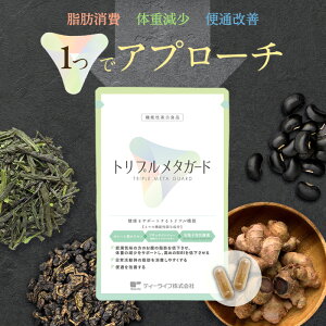 y@\\Hizgv^K[h ( 얞Ĉ̎̕b΍p _CGbgT|[g Tv Tvg v[A[  G mt yfGLX )