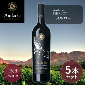 s_sgptC{XC [ ԃC( i`[C I[KjbNC AtJY C{XeB[ C{X C {g Mtg Ȃ  Cx