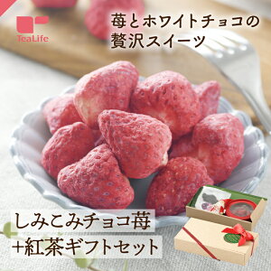 sƂ낯Ht݂݃`R  + g MtgZbg ( g ݃`R 䕃`R `R zCg`R t[YhC NX}XGfBV NX}X v[g Mtg 