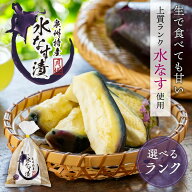 【幻の名店の味】泉州特産 水なす漬け 6個/8個 ( 上質ランク 漬物 漬け物 ぬか漬け 朝採れ 採れたて 直送…