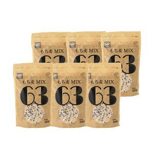 ґ򍒗 MIX63 500g 1E2E3E6E10Zbg N  ĂȂ   j Ԃ A Mtg v[g  yY  LkA ܍~bNX  RS