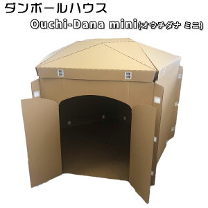 _{[nEX Ouchi-Dana mini(IE`_i ~j)