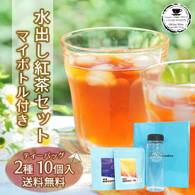 TEA NAVIGATION 紅茶 ティーバッグ 水出し アイスティー オリジナルマイボトル付 タチバナ産業 アールグレイ トロピカルマンゴー 各5包×2袋入 ギフト包装済 ホワイトデー 母の日 送料無料