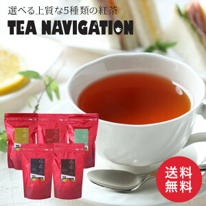 TEA NAVIGATION v~AC g Mtg eB[obO X^hpbN 25 ^`oiY  t[o[eB[ t[ceB[ n[ueB[ v[g o^C zCgf[ 