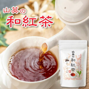 y15܂P5{z eB[obO g ag og t eB[obN eB[pbN ng L@ I[KjbN Rp 2g × 20