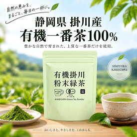 【 訳あり 賞味期限 間近 】山英 有機掛川 粉末緑茶 60g 有機JAS 一番茶100％ 静岡県掛川産 湯飲み 約120杯 / オーガニック 粉末茶 グリーンティ 静岡県産 パウダー 無化学肥料栽培 栄養まるごと