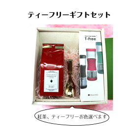 ティーフリーギフトセット【初売り 紅茶 ティーフリー 持ち運び 直飲み クリスマス プレゼント お祝い 誕生日 出産 祝い 選べる スプーン コーヒー 外出 会社 水筒 茶 タンブラー マックマー ボトル セット ストレーナー】