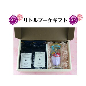 gu[PMtgyg  eB[pbN vU[uht[ ͂Ȃ u[P  v[g 蕨 ̓ zCgf[ 킢 Y Mtg bZ[W yz