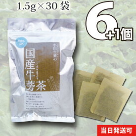 【送料無料】 小川生薬 国産ごぼう茶 国産 1.5g×30袋 無漂白ティーバッグ 6個セットさらにもう1個プレゼント