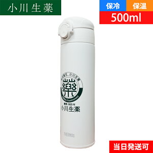 y100NLOzH@Ή 쐶 }C{g T[X 500ml ۉ ۗ y ^ }O{g XeX{g  ^fMP[^C}O ^b`I[v LO{g mxe