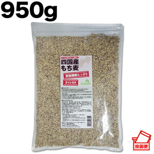 lY  950g Y |Xg  ߂肠b 쐶