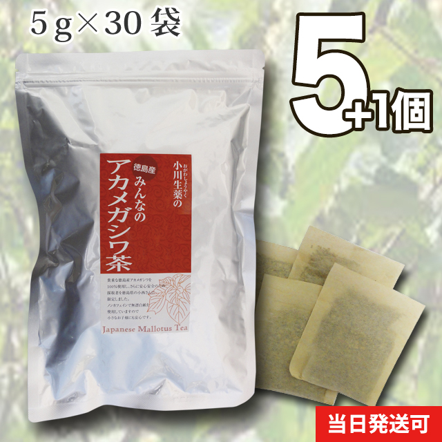 貴重な徳島産アカメガシワを100%使用し、香り高く飲みやすいお茶に仕上げました。   小川生薬 徳島産みんなのアカメガシワ茶 国産 徳島産  5g×30袋 無漂白ティーバッグ 5個セットさらにもう1個プレゼント