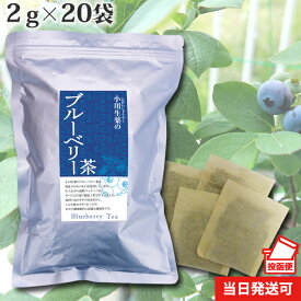 【ポスト投函便送料無料】 小川生薬 ブルーベリー茶(葉・軸) 国産 2g×20袋 無漂白ティーバッグ