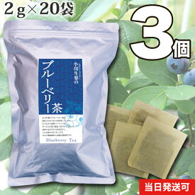【送料無料】 小川生薬 ブルーベリー茶(葉・軸) 国産 2g×20袋 無漂白ティーバッグ 3個セット