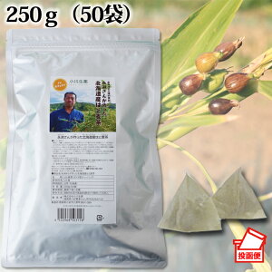 i񂪍 kCY ͂Ɣ 5g×50 YҌ Y |Xg֑