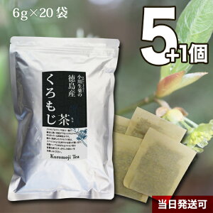 6g×20 YiNW/j 쐶 YeB[obOyz5Zbgɂ1v[g