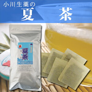 y100Nȏ㑱Ђ̍ Ē z 8g×30 mJtFC Y eB[obO N ͂Ɣ   ⋋ }C{g ċG 쐶