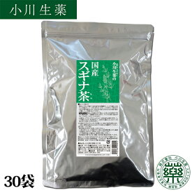 【100年以上続く生薬会社の作った 国産 スギナ 茶 】3g×30袋 ノンカフェイン ティーバッグ 送料無料 小川生薬