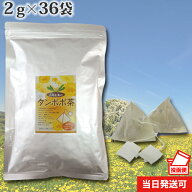 【100年以上続く生薬会社の作った タンポポ茶 】 2g×36袋 テトラバッグ ポーランド産 ティーバッグ たん…