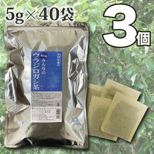 5g×40袋 香川産みんなのウラジロガシ茶 小川生薬　国産(香川産) 【送料無料】3個セット