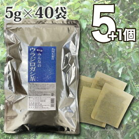 5g×40袋 香川産みんなのウラジロガシ茶 小川生薬　国産(香川産) 【送料無料】5個セットさらにもう1個プレゼント