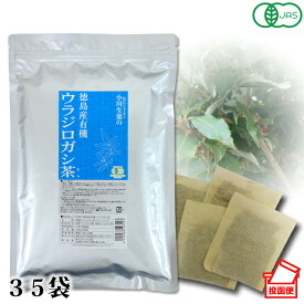 【100年以上続く生薬会社の作った 徳島産 有機 ウラジロガシ茶 】 3g×35袋 オーガニック ノンカフェイン ポスト投函便 送料無料 小川生薬