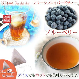 紅茶 フレーバー ほんのり香るブルーベリー・フルーツ・フレーバード・ティーバッグ 40個 【送料無料】 紅茶専門店