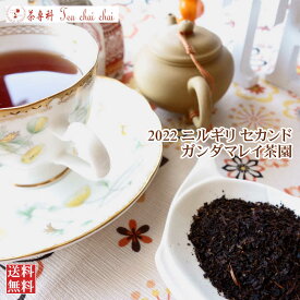 紅茶 茶葉 ニルギリ ガンダマレイ茶園 セカンド FOF 578/2022 50g【送料無料】 紅茶専門店