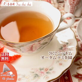 紅茶 ティーバッグ 40個 シッキム テミ茶園 オータム FTGFOP 1 T85/2022【送料無料】 紅茶専門店
