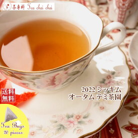 紅茶 ティーバッグ 20個 シッキム テミ茶園 オータム FTGFOP 1 T85/2022【送料無料】 紅茶専門店