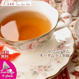 紅茶 ティーバッグ 10個 シッキム テミ茶園 オータム FTGFOP 1 T85/2022【送料無料】 紅茶専門店