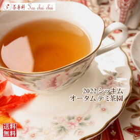 紅茶 シッキム テミ茶園 オータム FTGFOP 1 T85/2022 50g【送料無料】 紅茶専門店