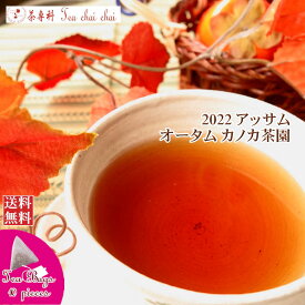 紅茶 ティーバッグ 10個 アッサム カノカ茶園 オータム TGFOP 1 ORGANIC O389/2022【送料無料】 アッサムティー 紅茶専門店