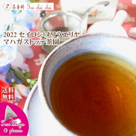 紅茶 ティーバッグ 10個 ヌワラエリヤ マハガストッテ茶園 BOPA/2022【送料無料】 セイロン メール便 紅茶専門店
