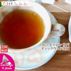 紅茶 ティーバッグ 10個 ウバ ディックウェラ茶園 BOP1/2022【送料無料】 セイロン メール便 紅茶専門店